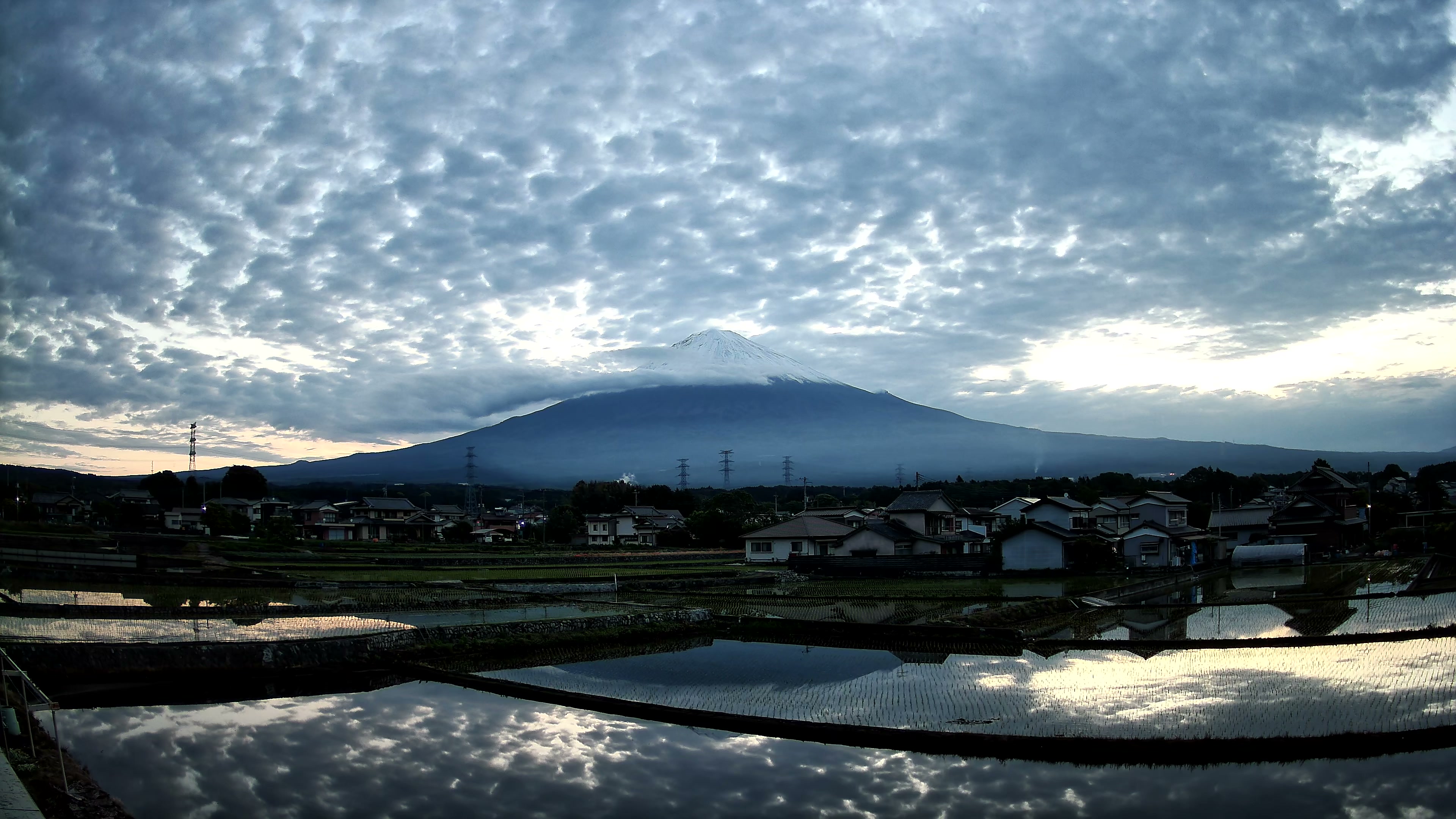 早朝の農場