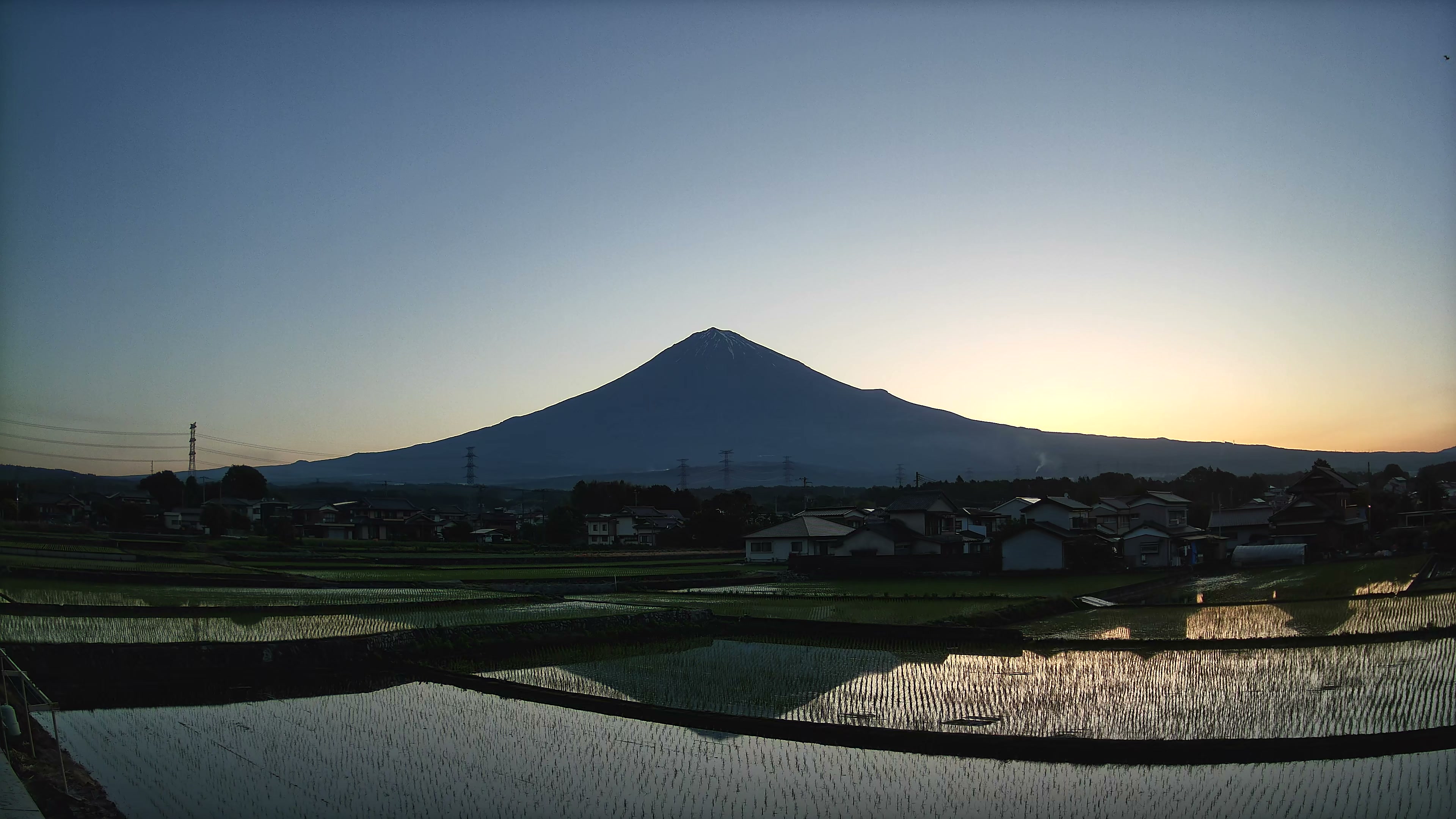 朝の田んぼ（5月25日）