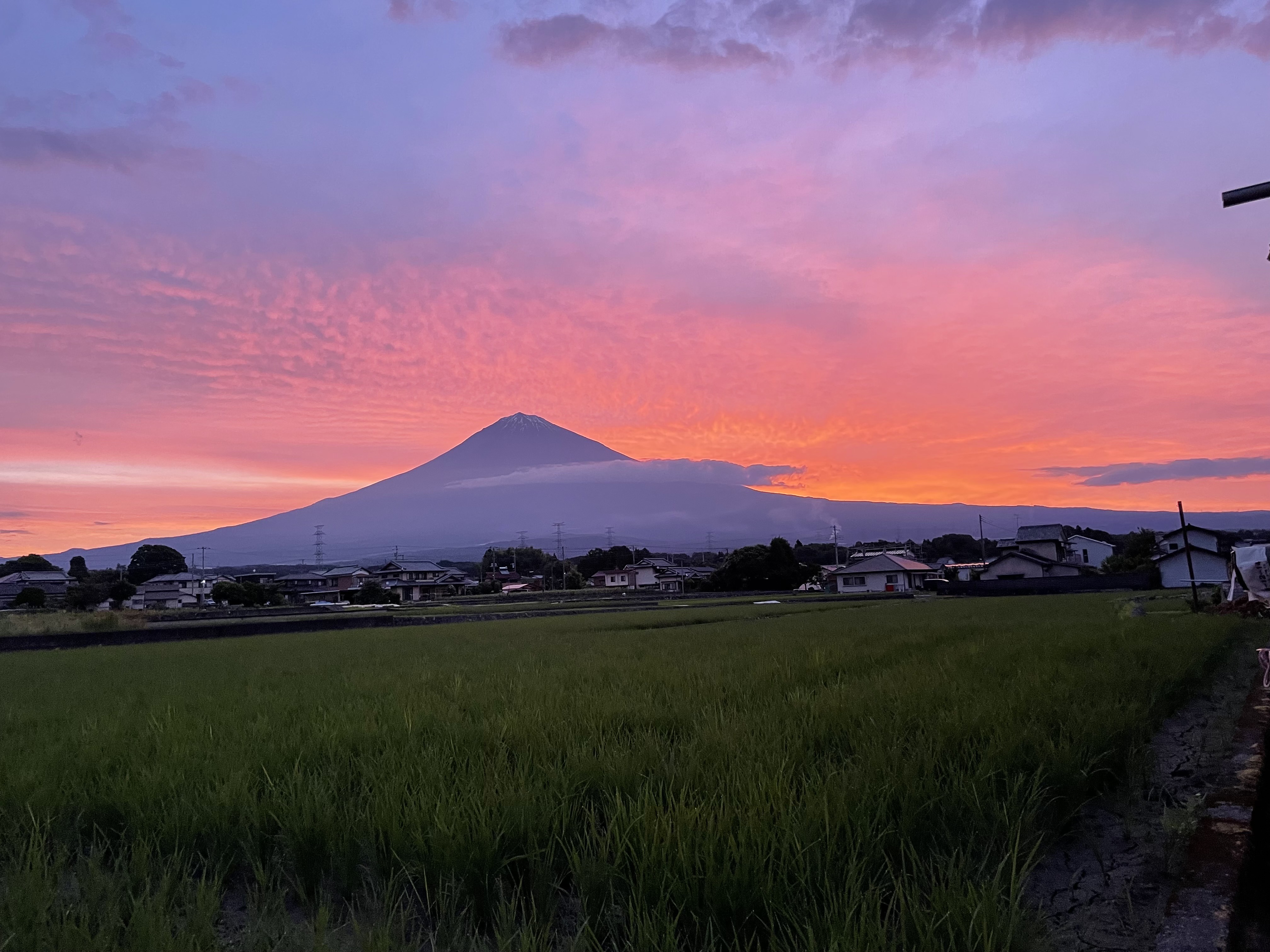 富士山麓の農場