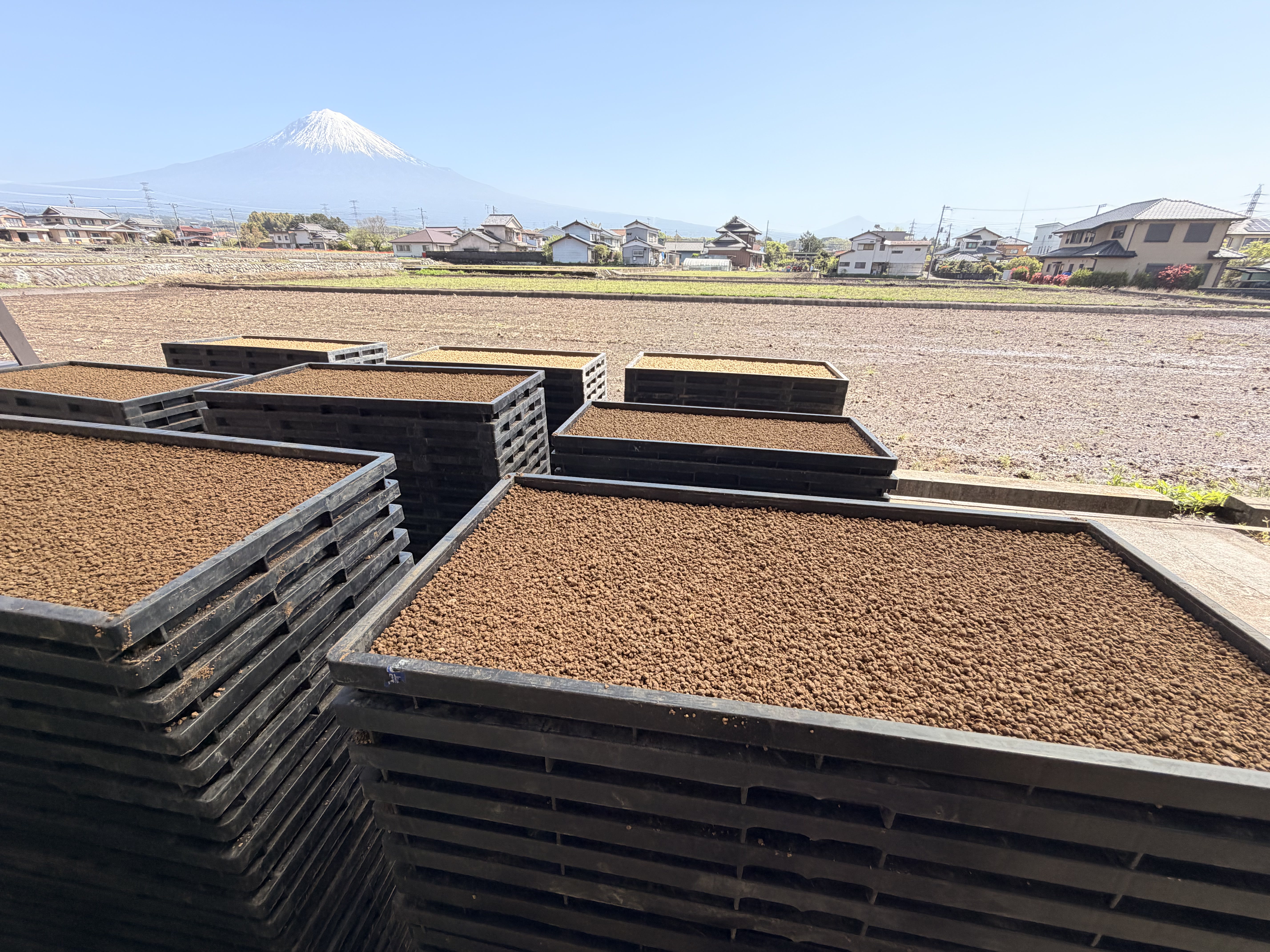 富士山麓の農場