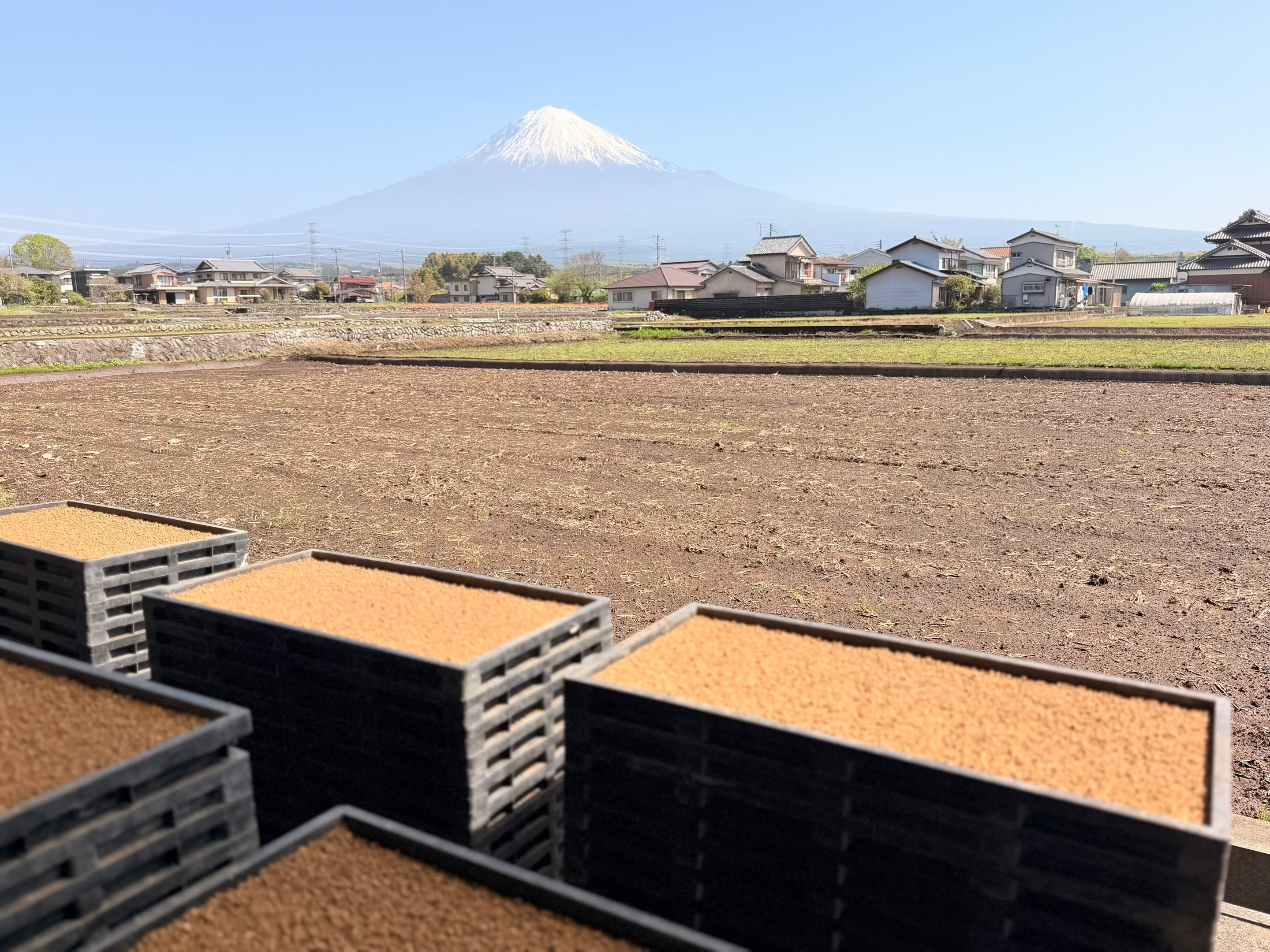 富士山麓の農場