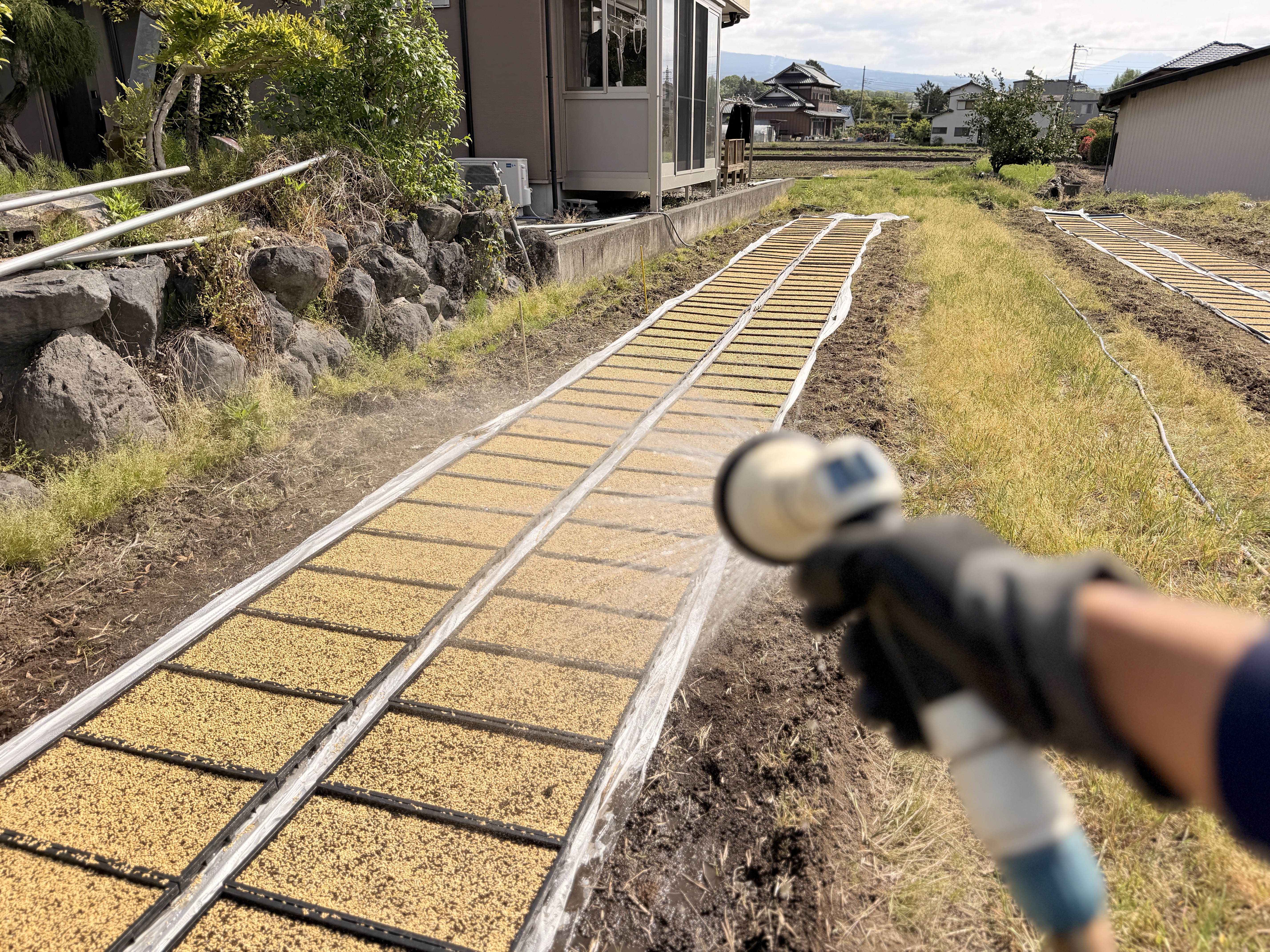 農場の風景
