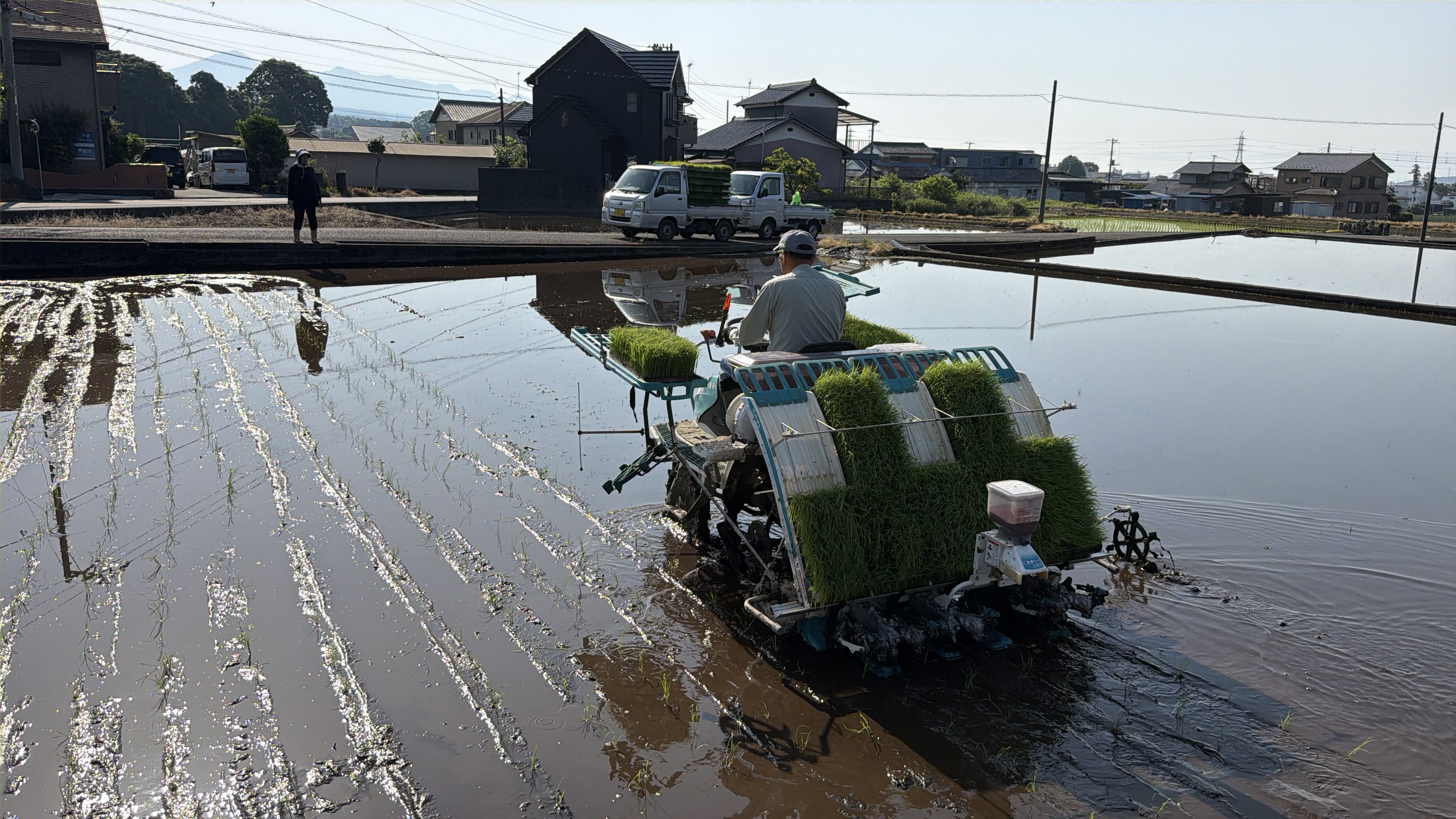 農場の風景