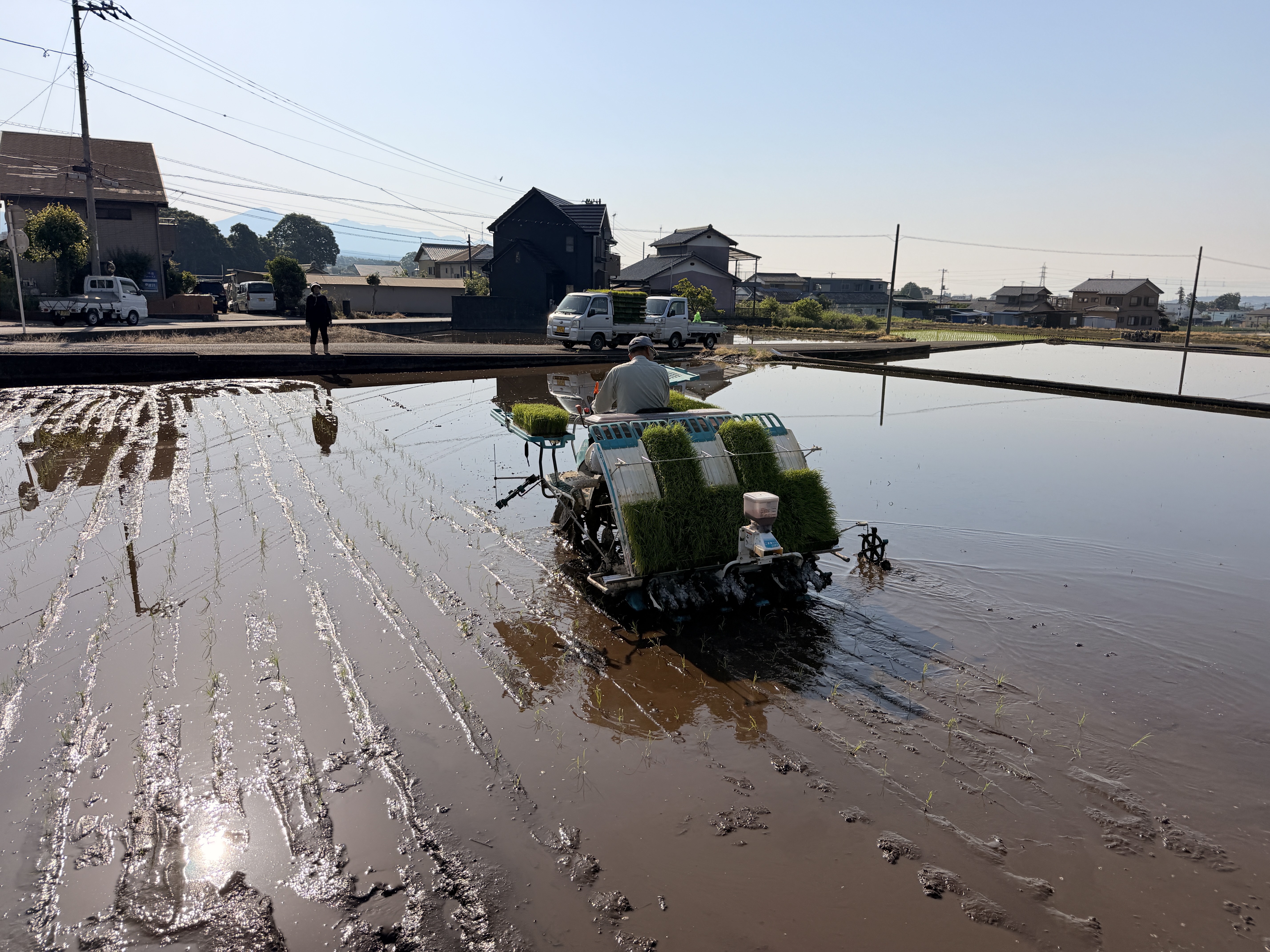 農場の風景