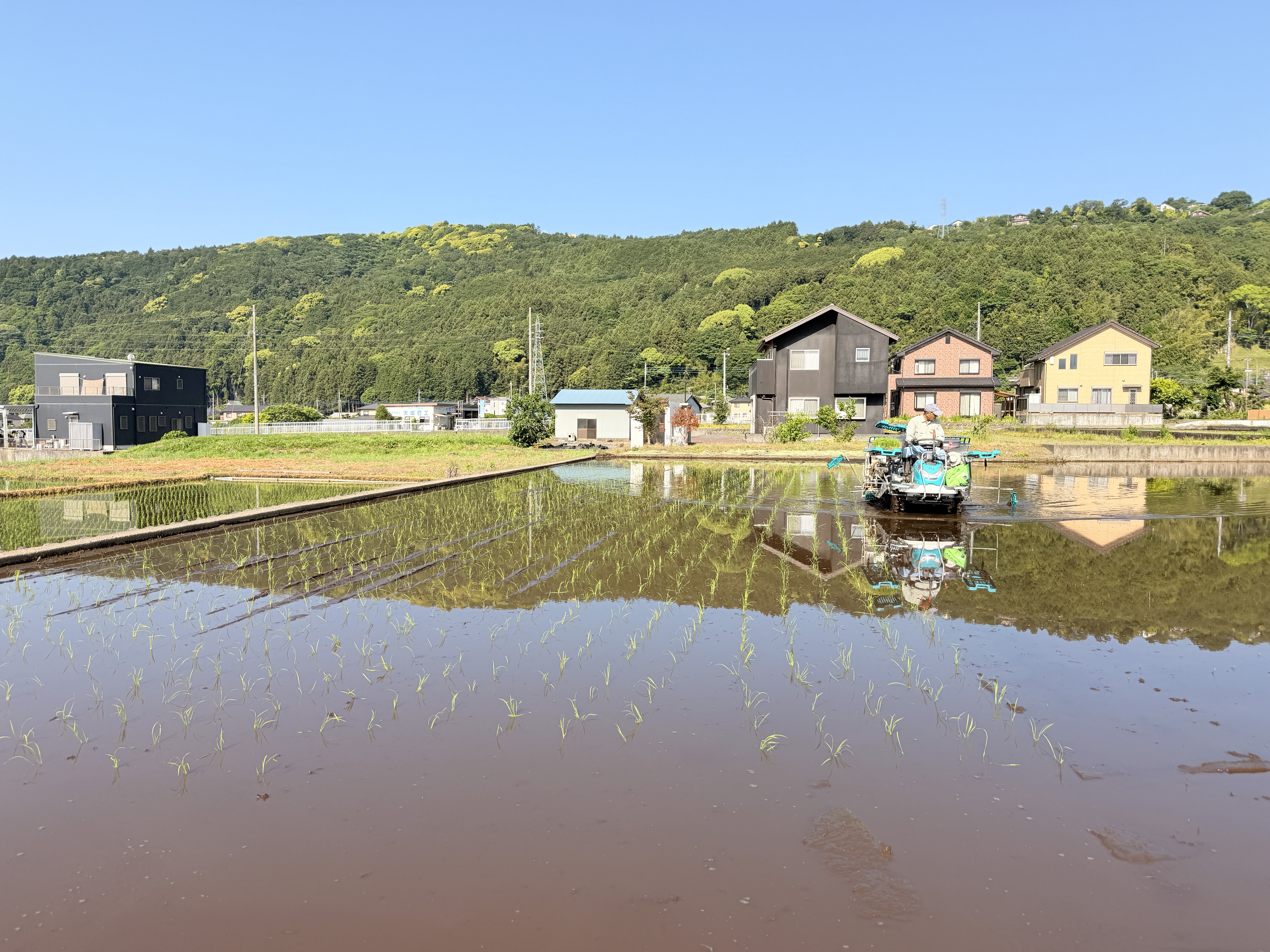 農場の風景