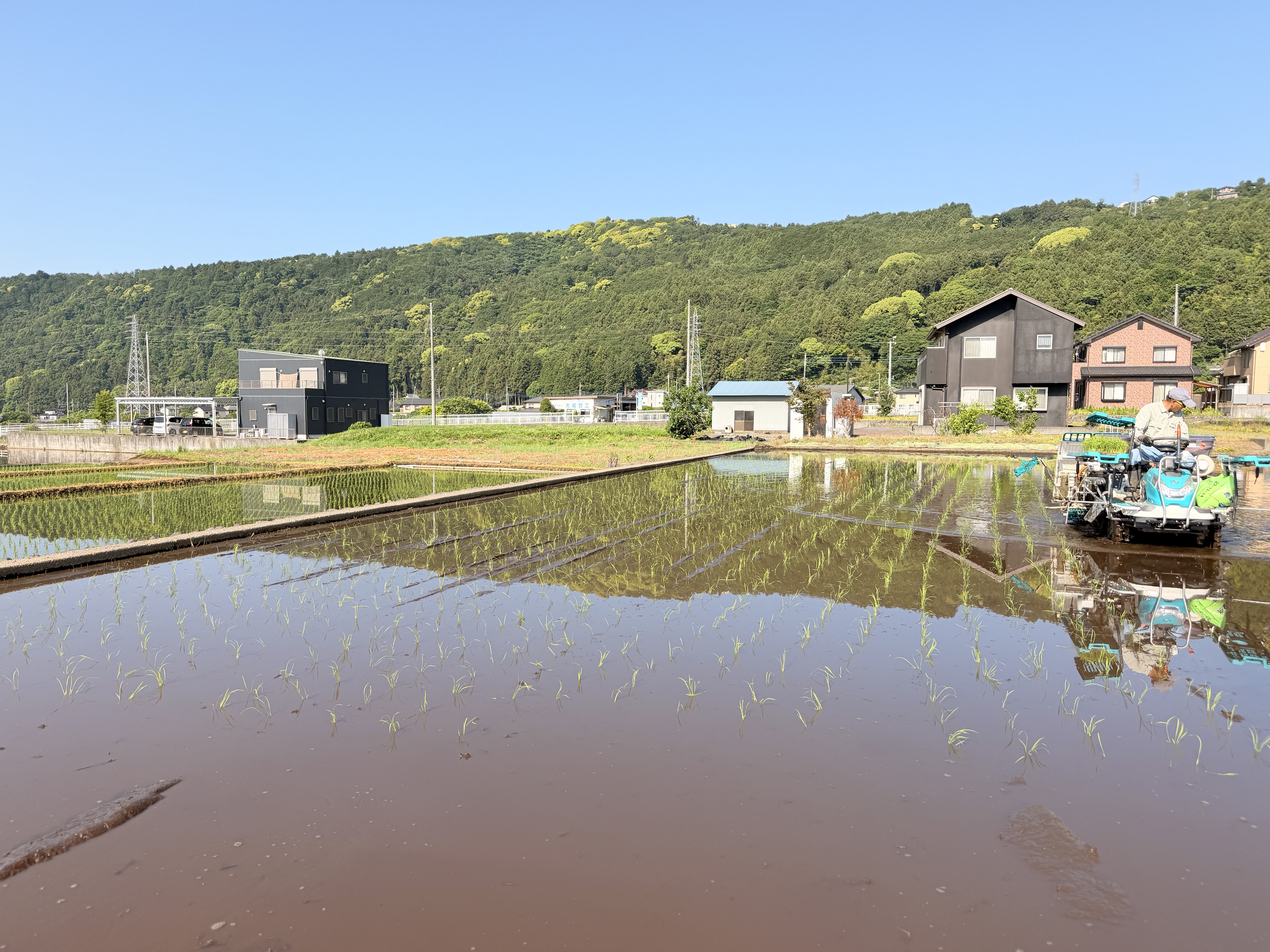 農場の風景