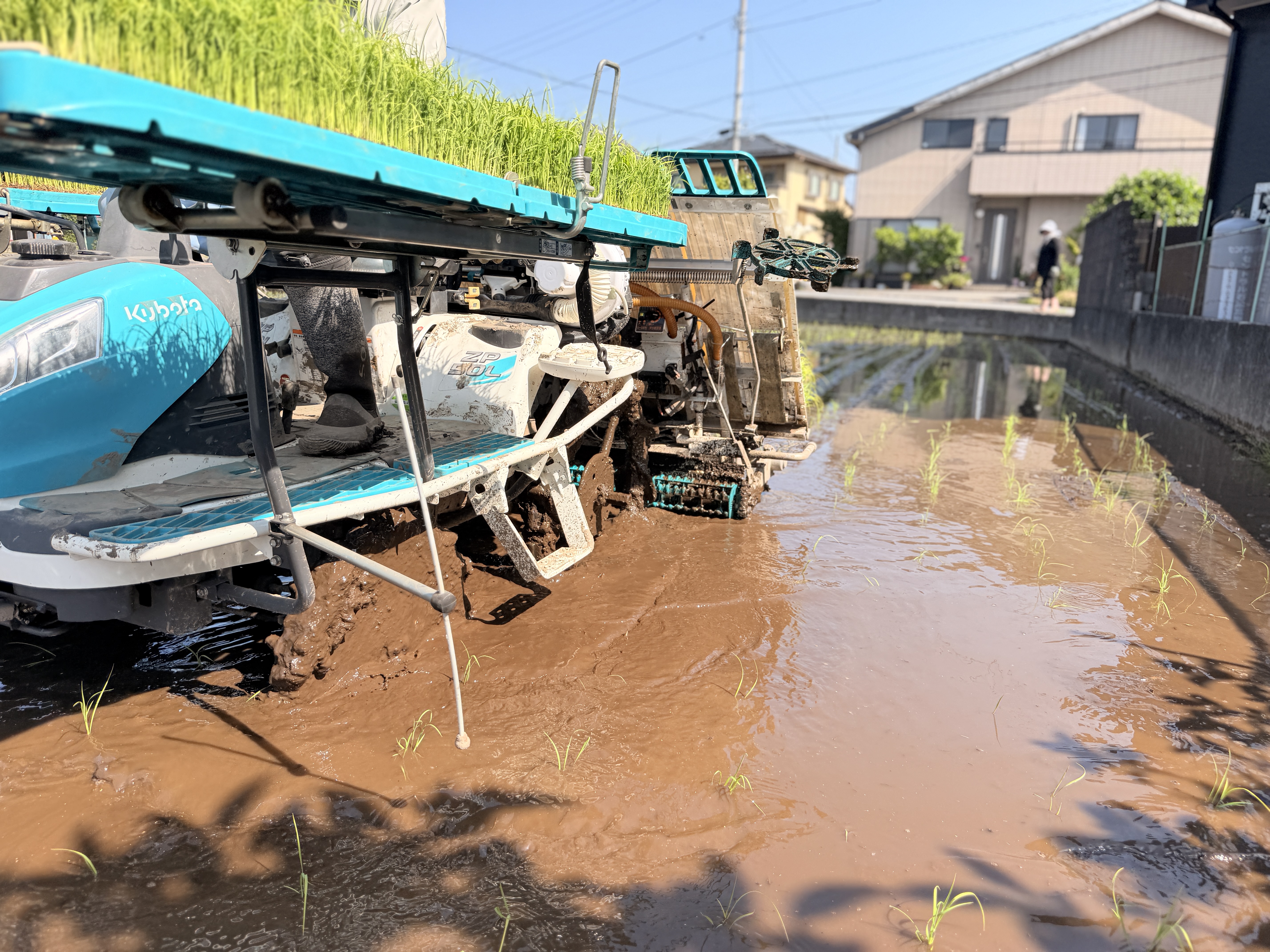 農場の風景