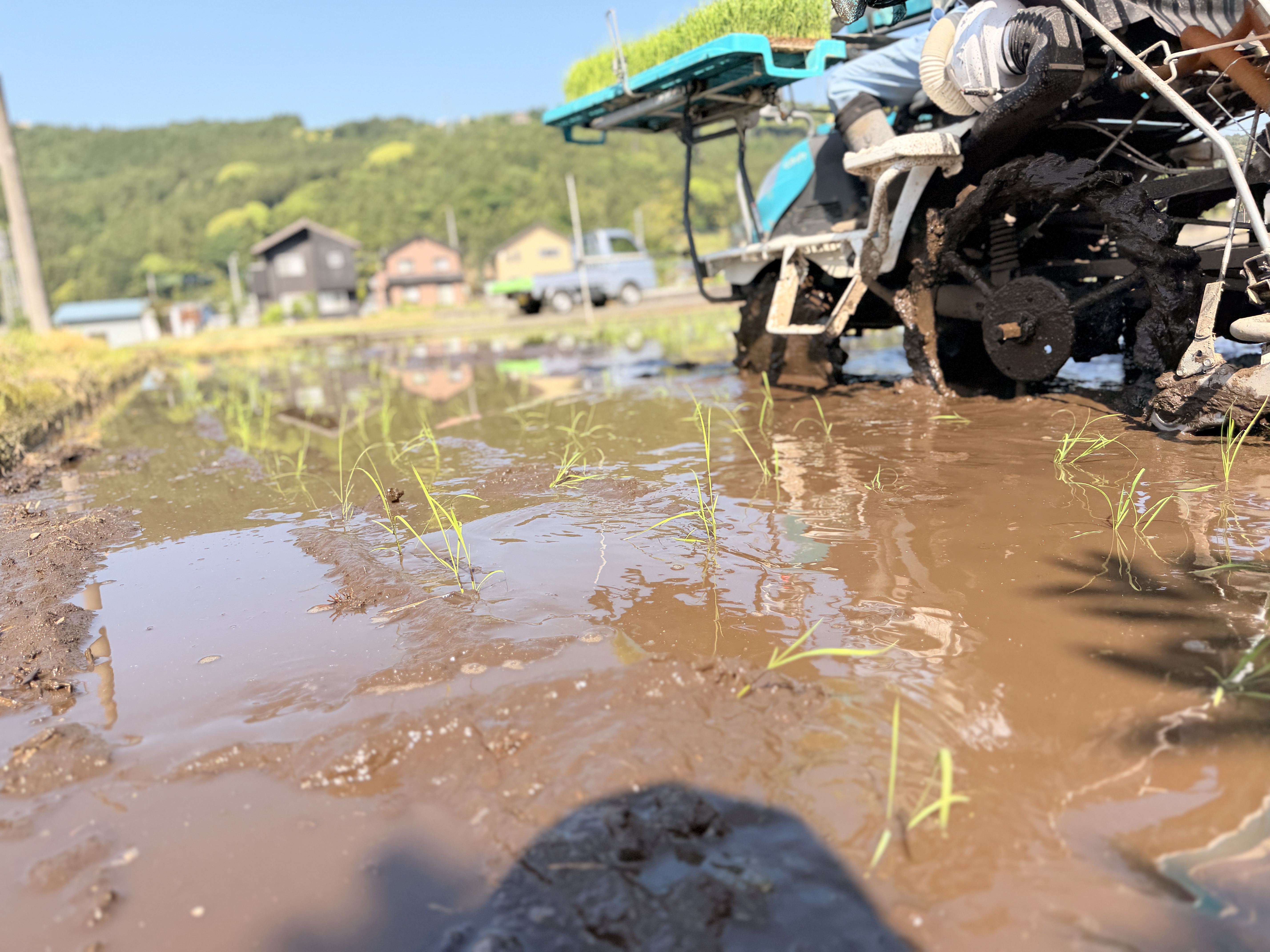 農場の風景