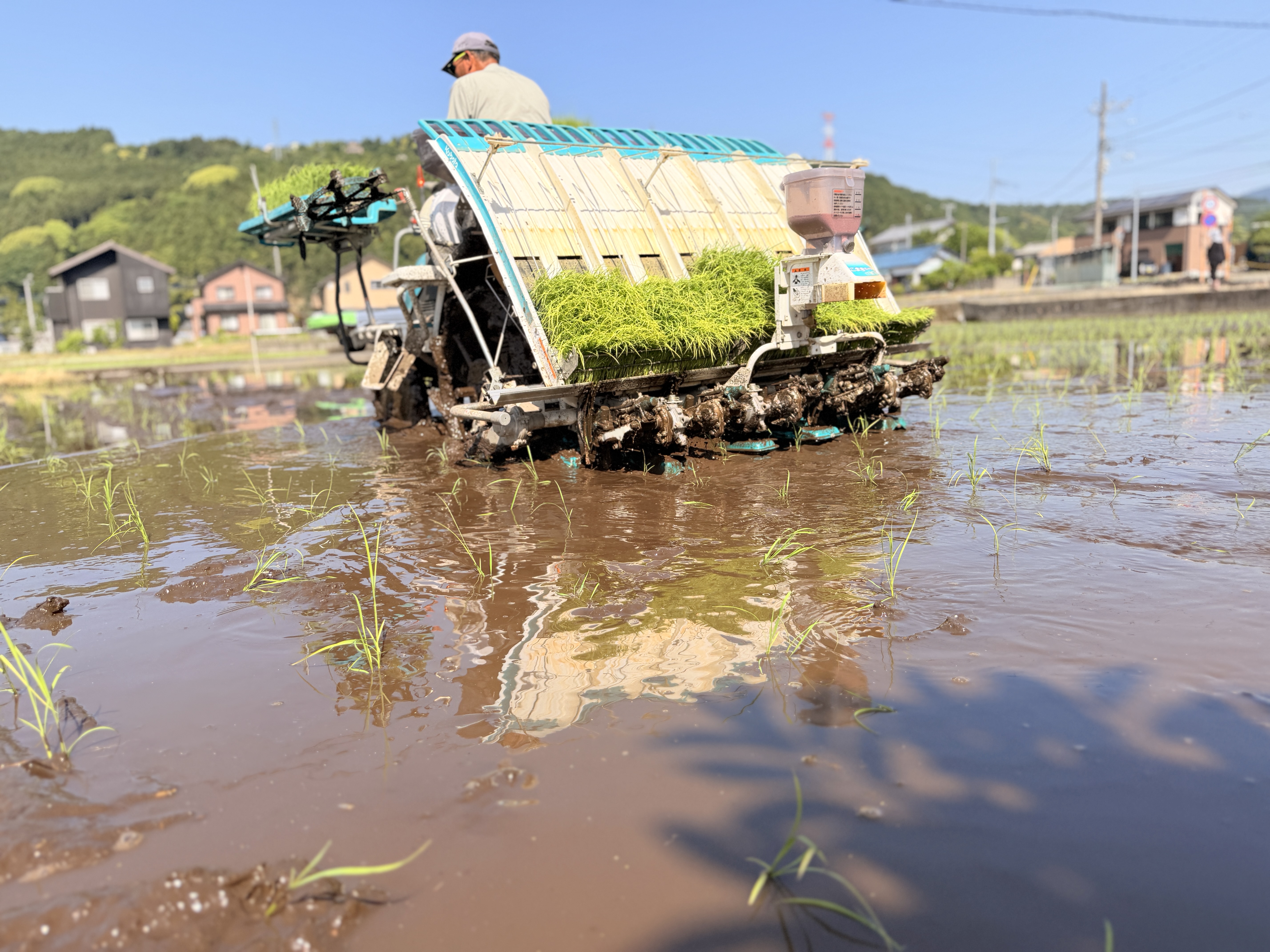 富士山と田んぼ