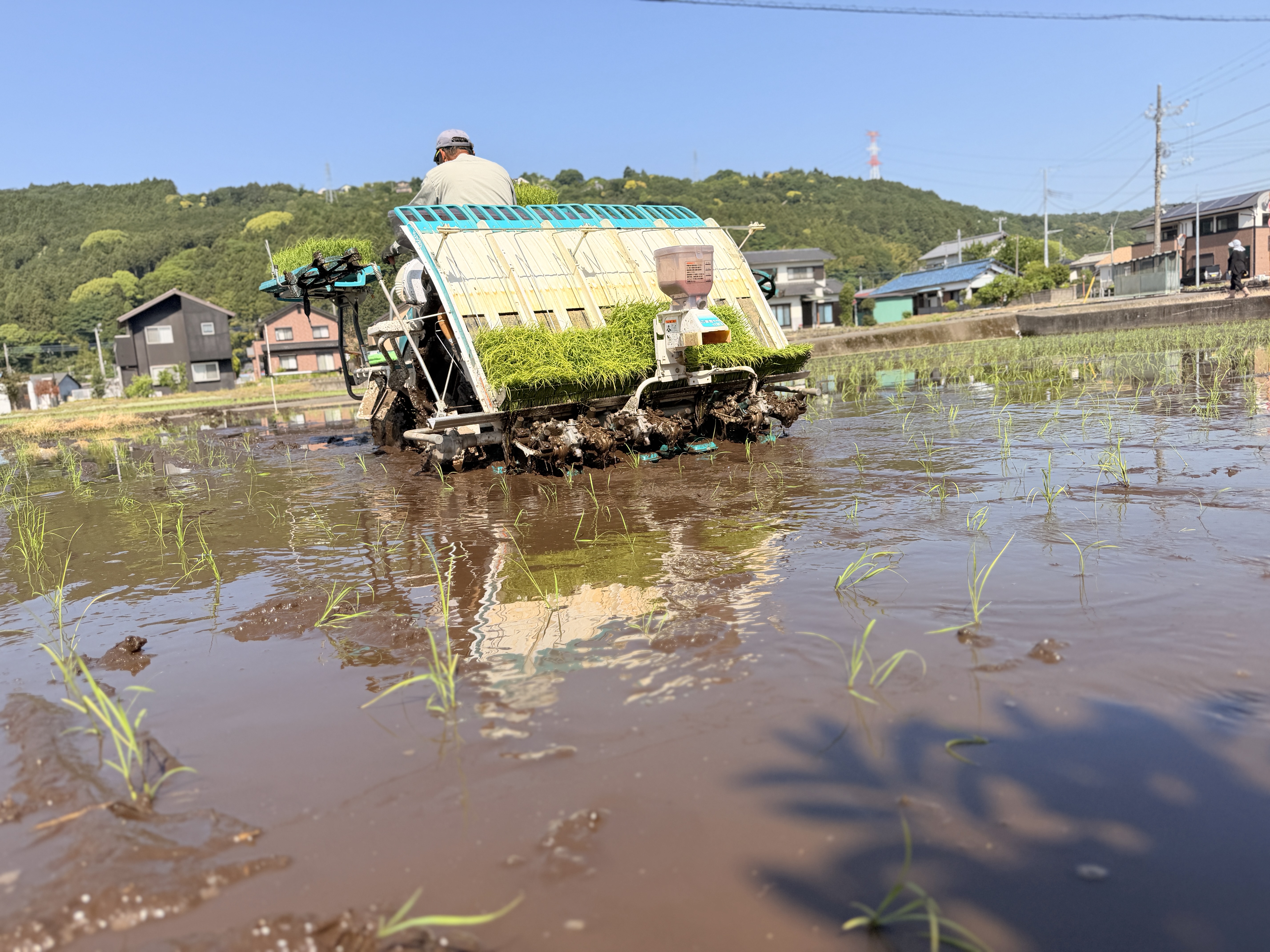 農場の風景