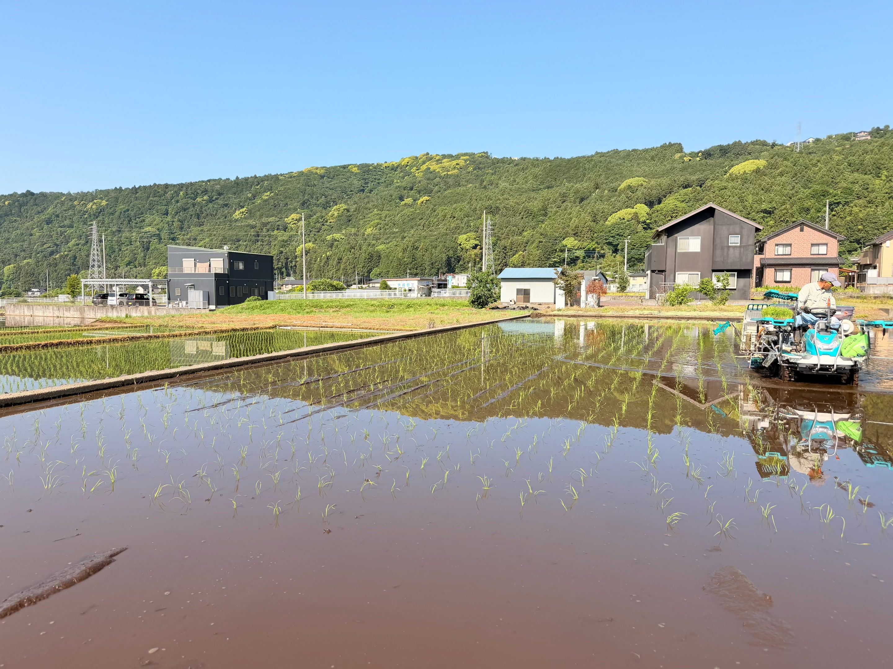 農場の風景