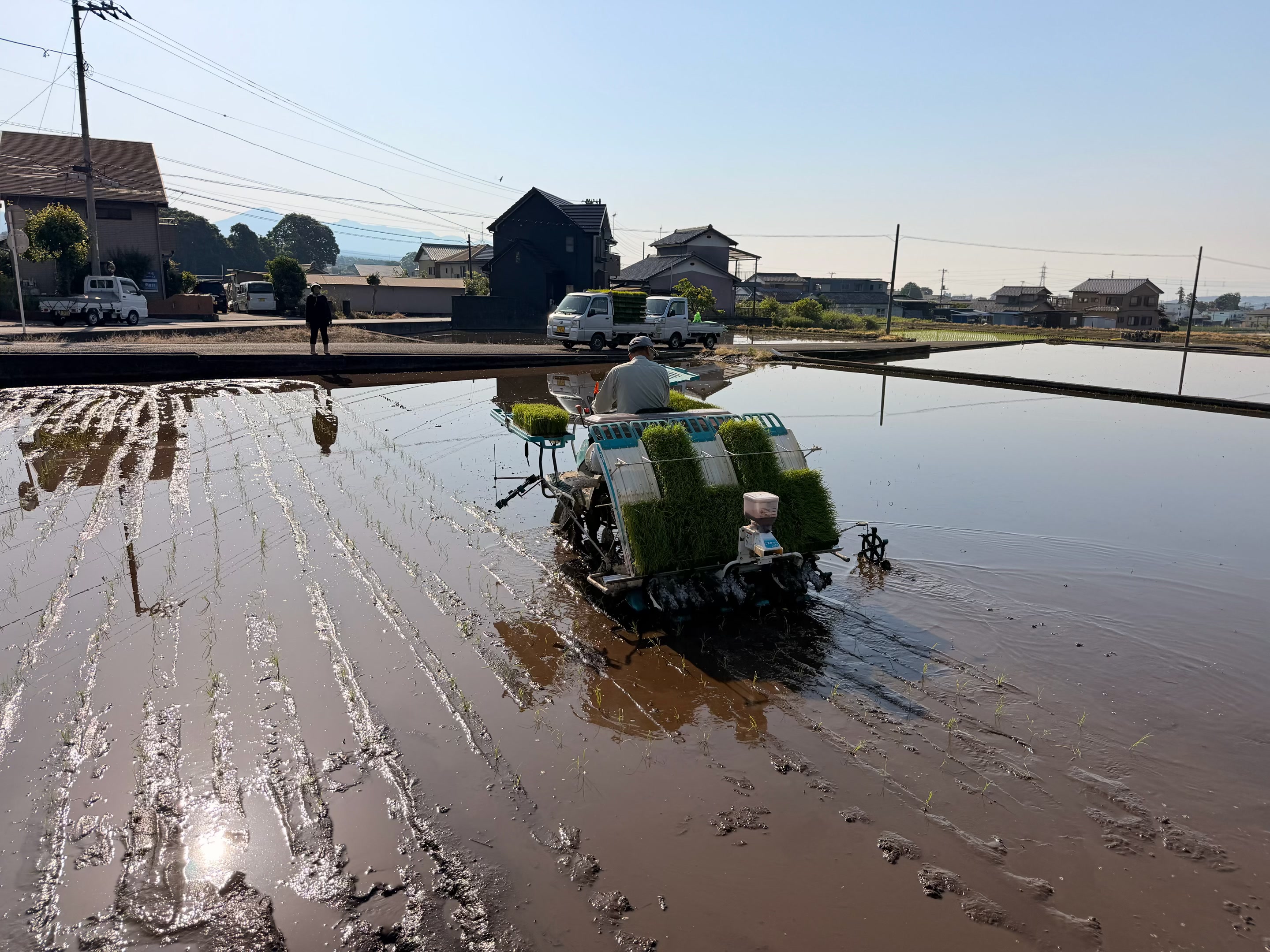 農場の朝
