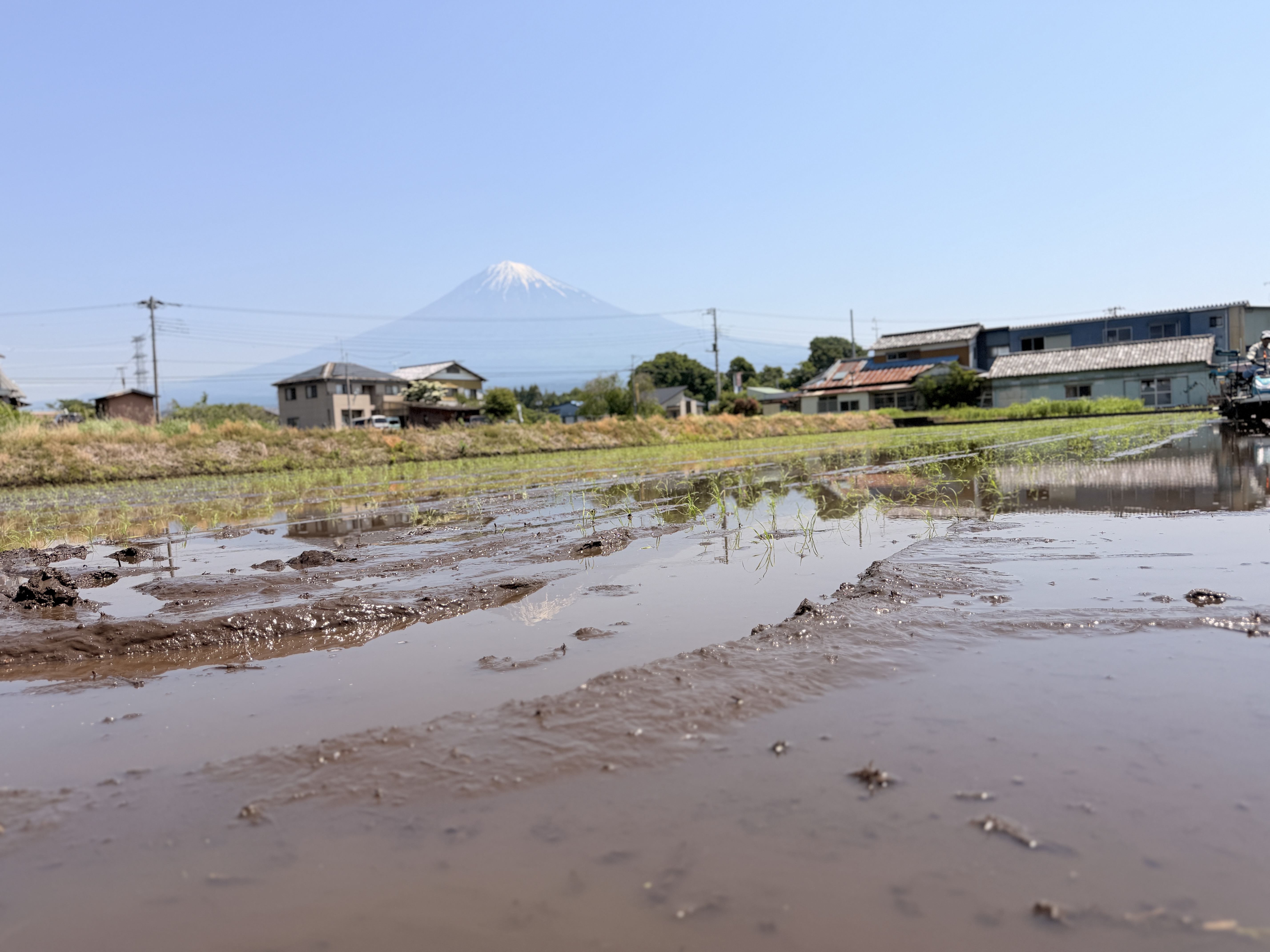 農場の風景
