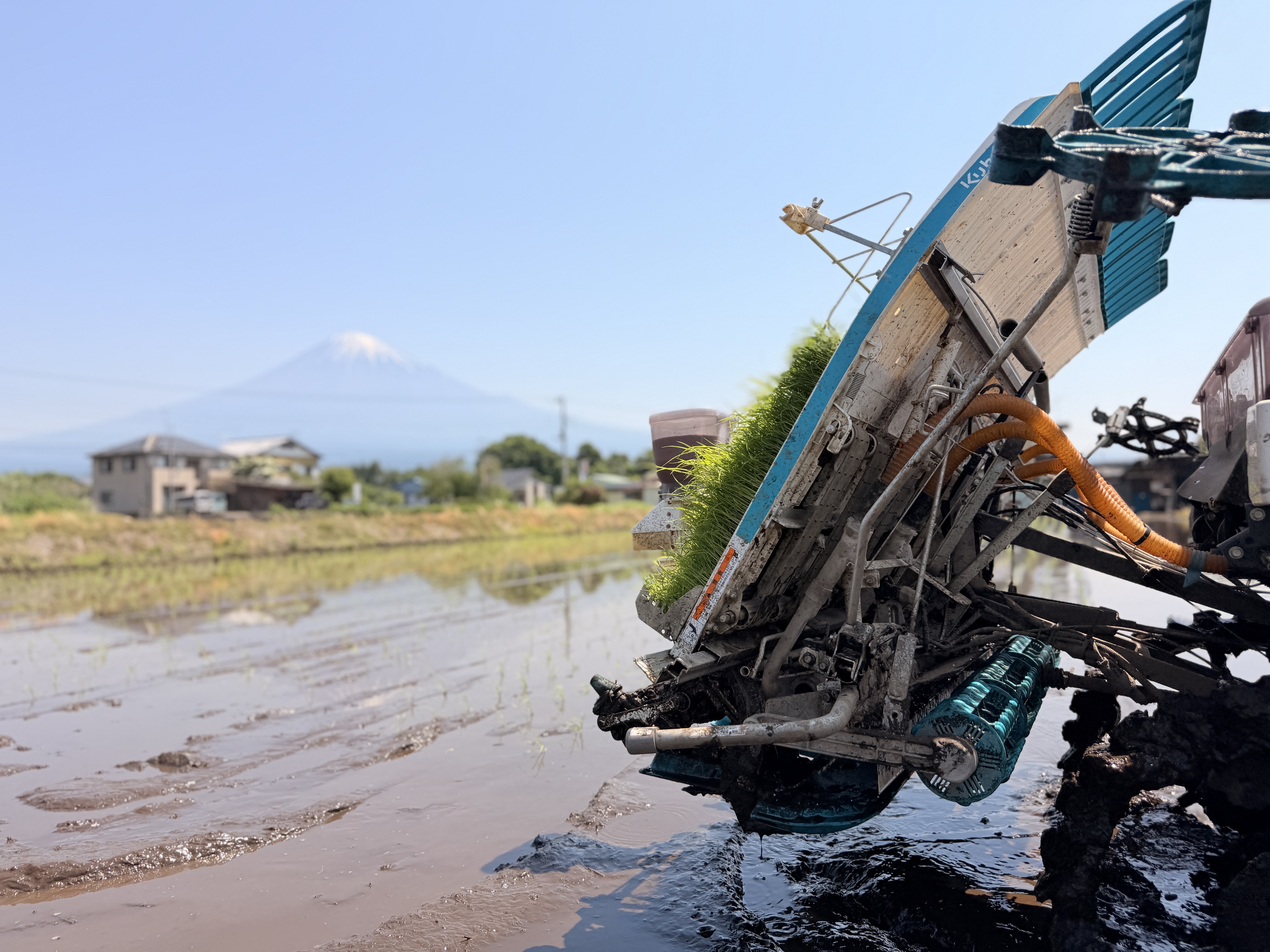 富士山麓の農場