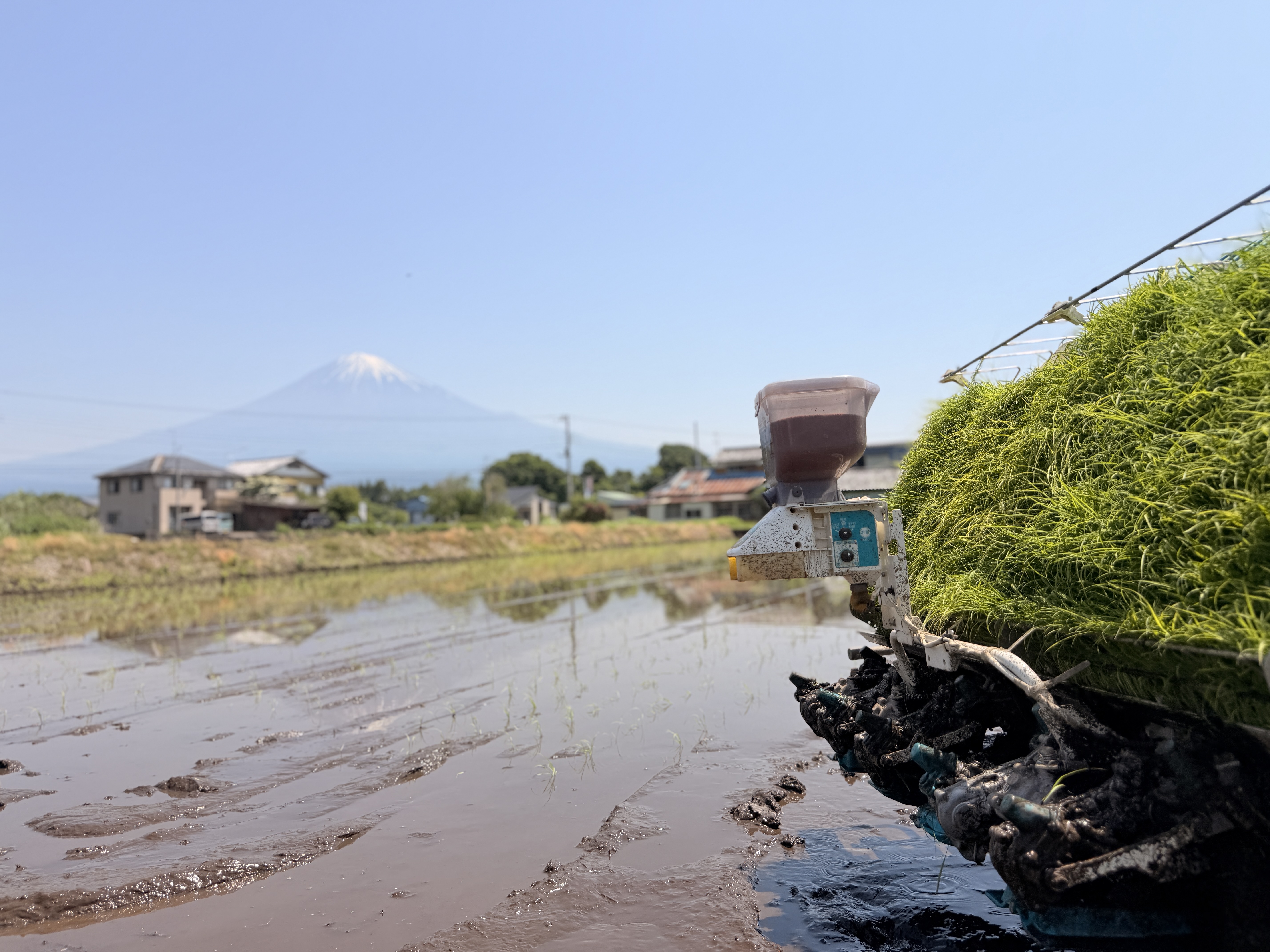 農場の風景