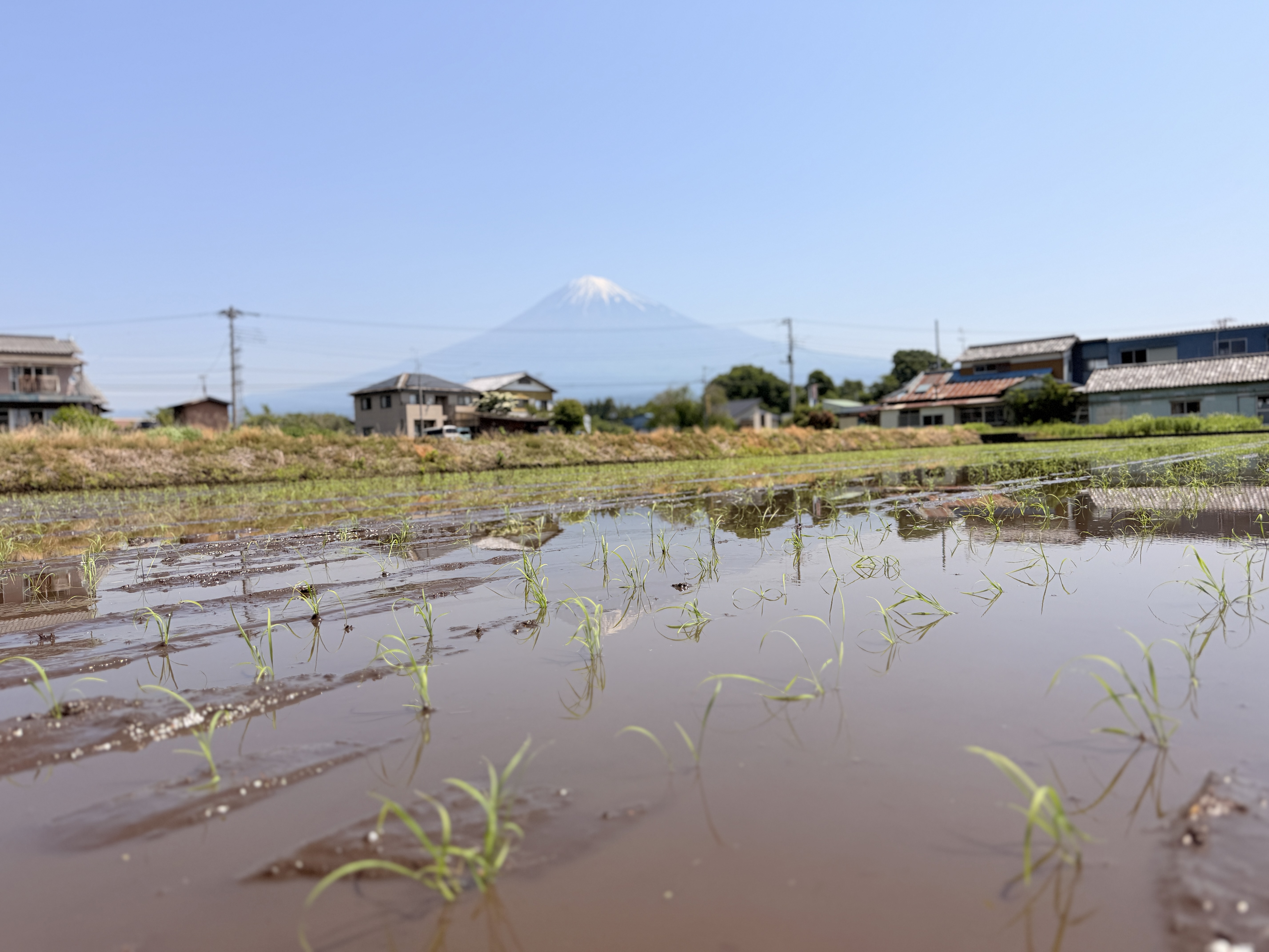 農場の風景