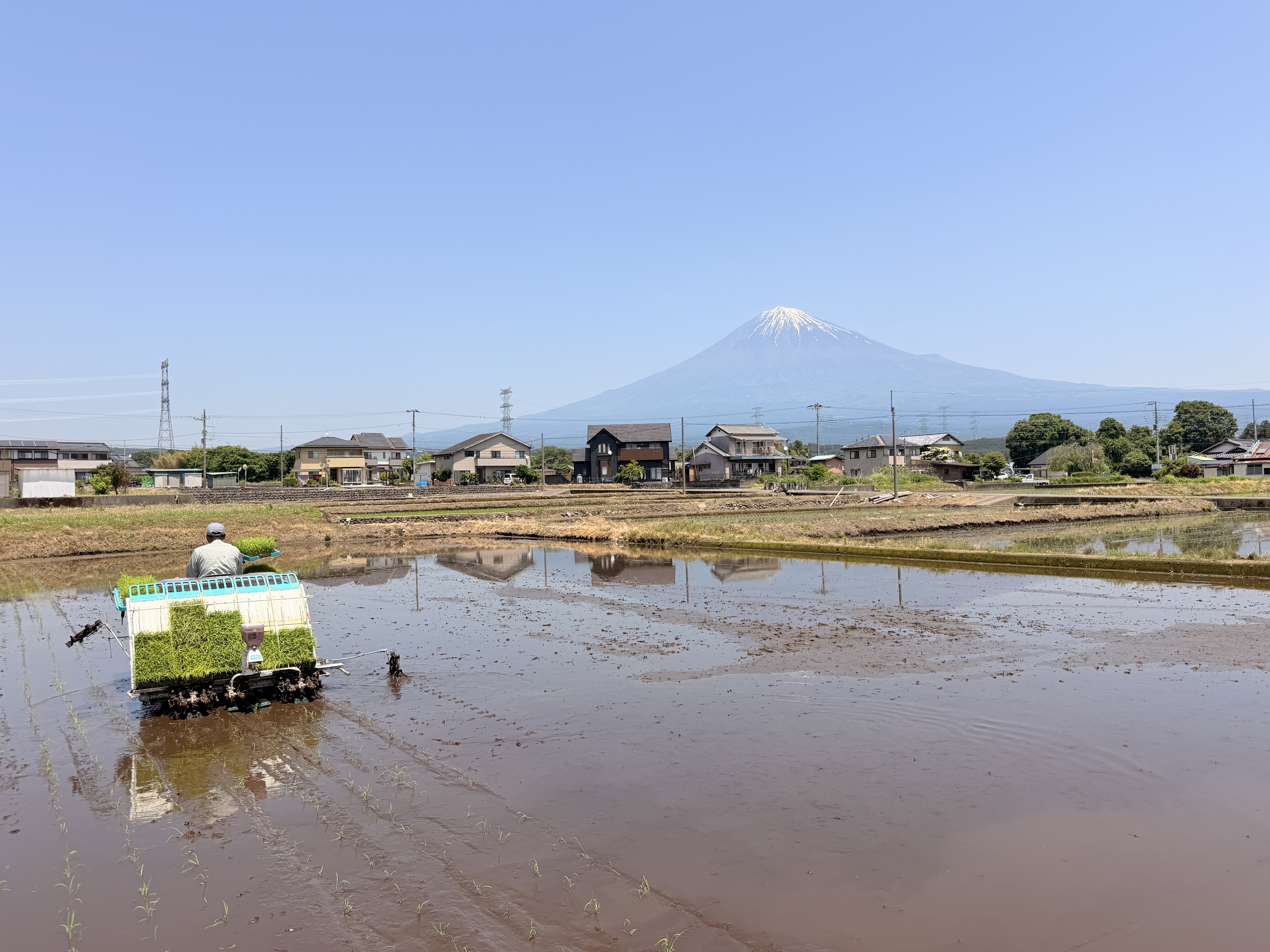 農場の風景
