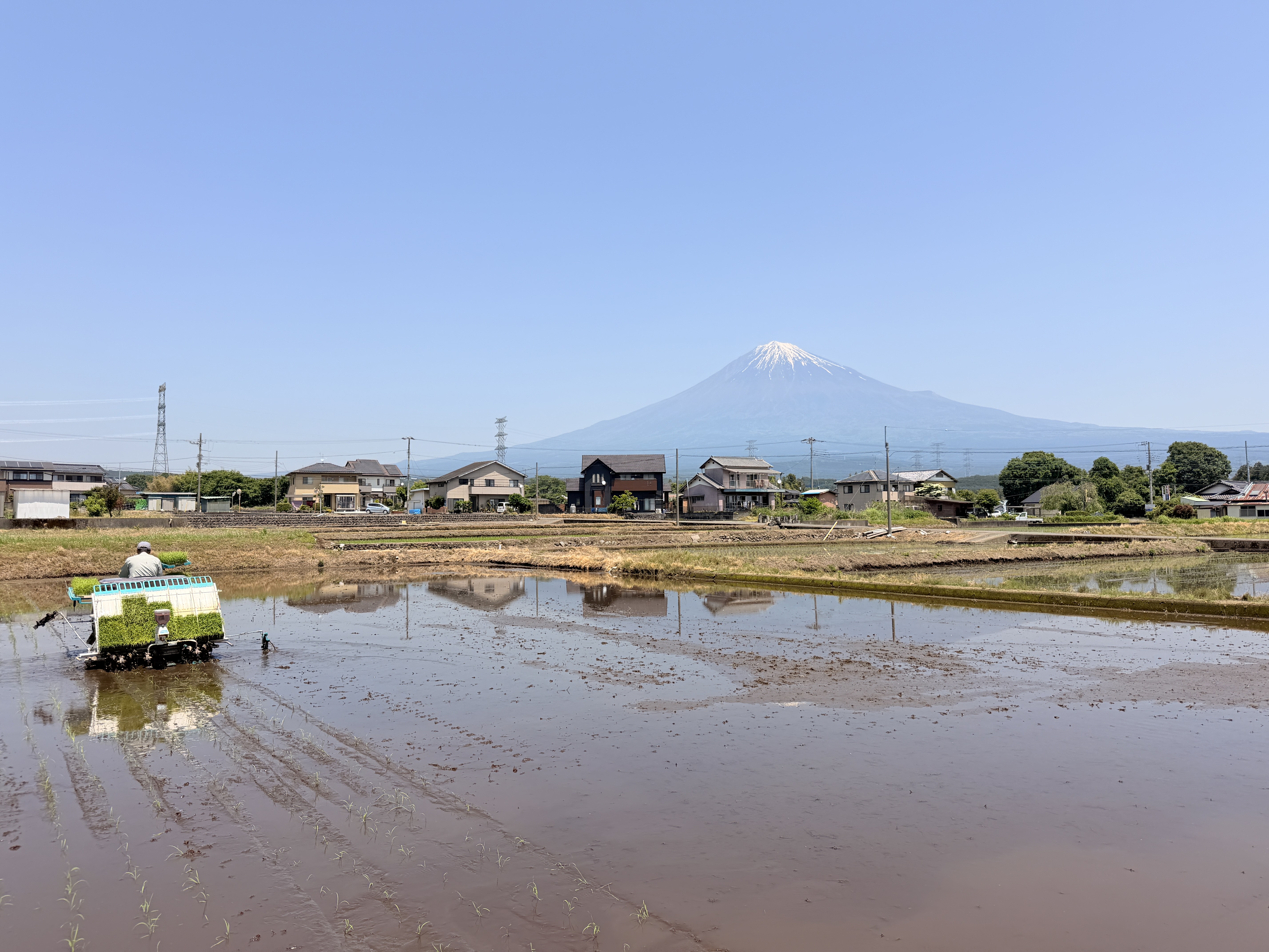 農場の風景