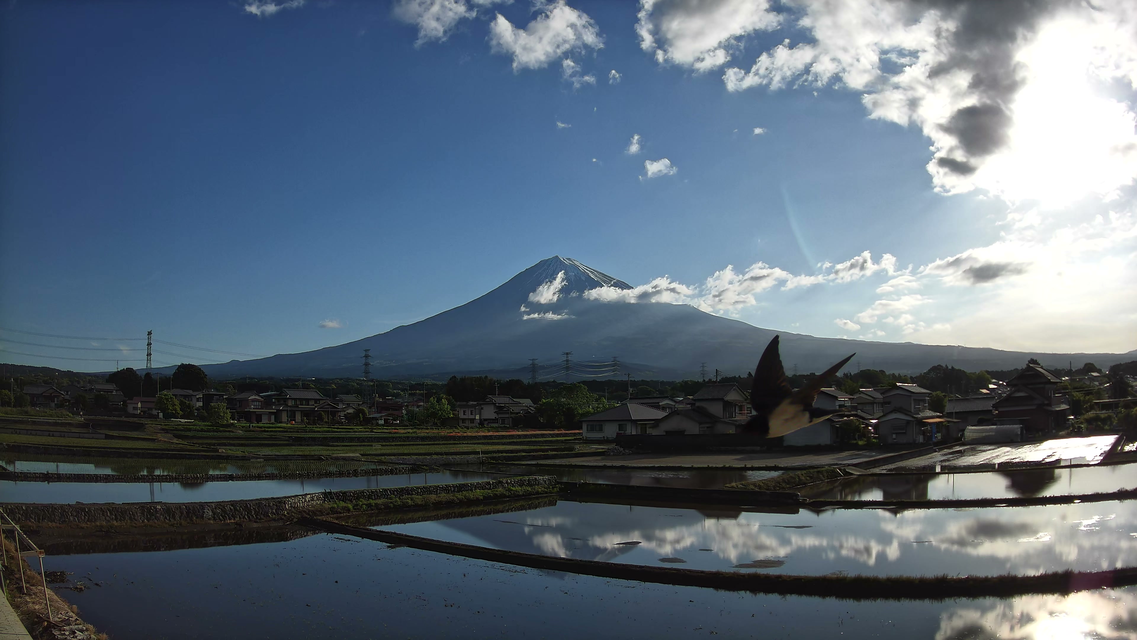 富士山麓だより 朝 2026年05月05日