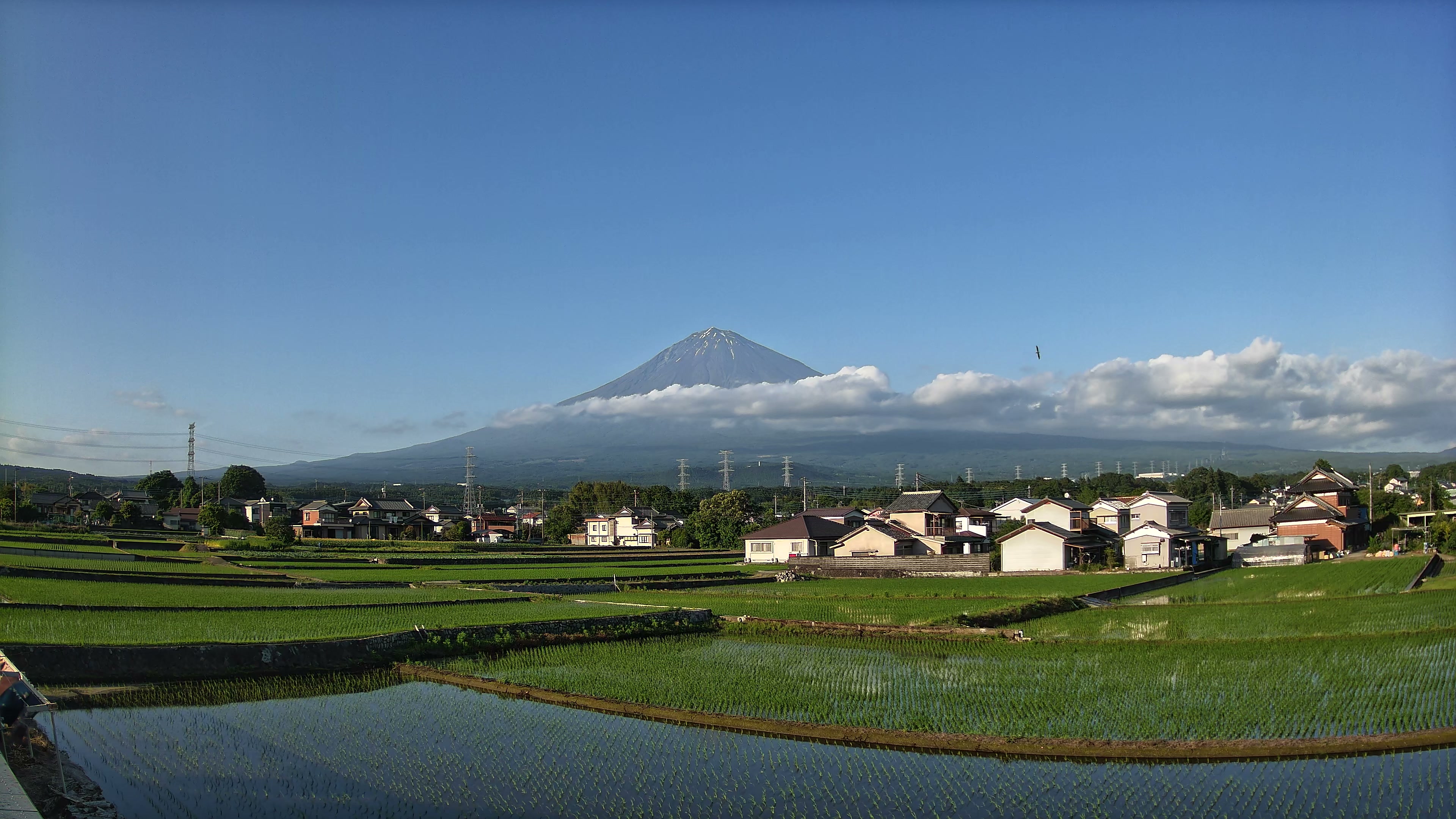 富士山麓だより 夕方 2026年05月30日