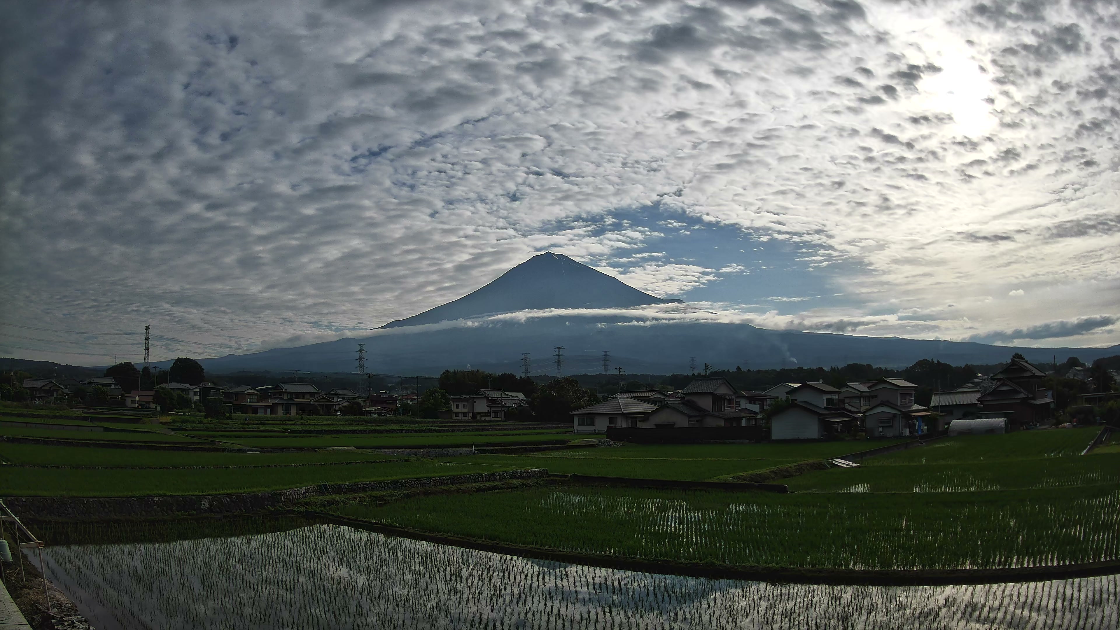 富士山麓だより 朝 2026年06月05日