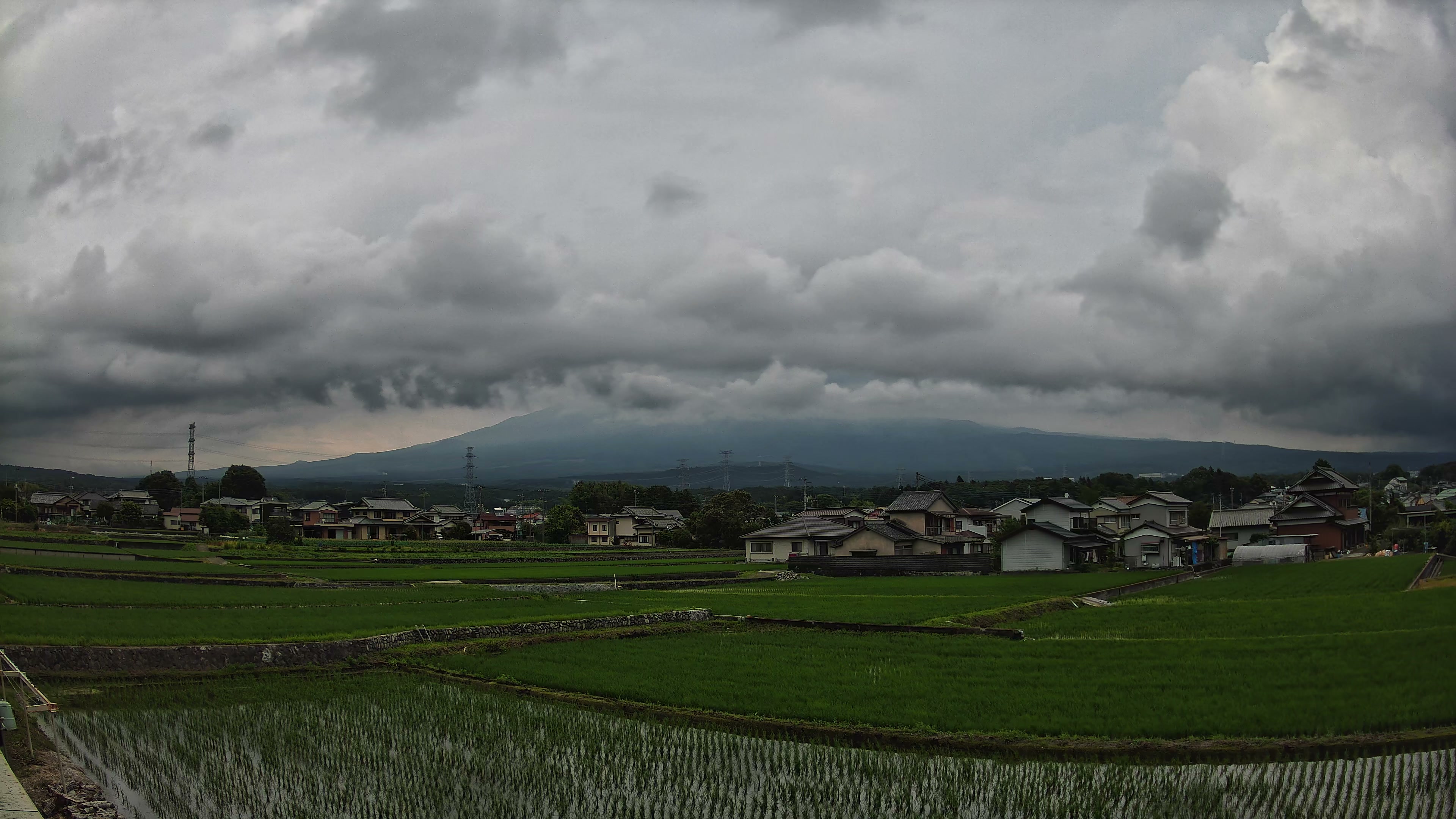 富士山麓だより 夕方 2026年06月11日