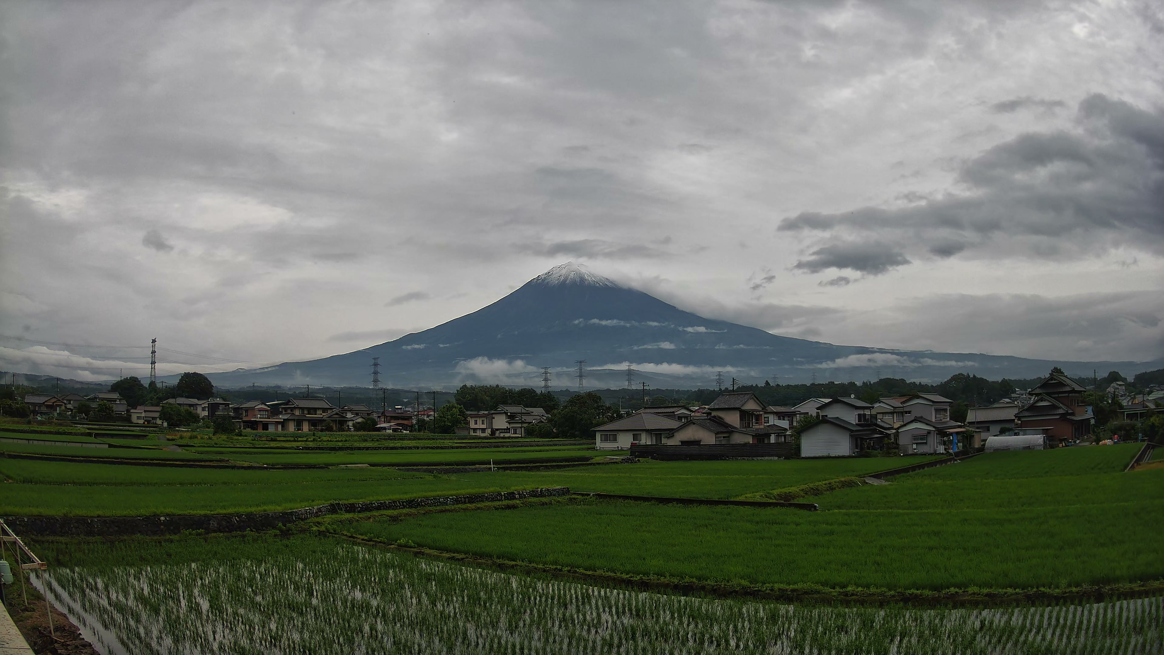 富士山麓だより 朝 2026年06月15日