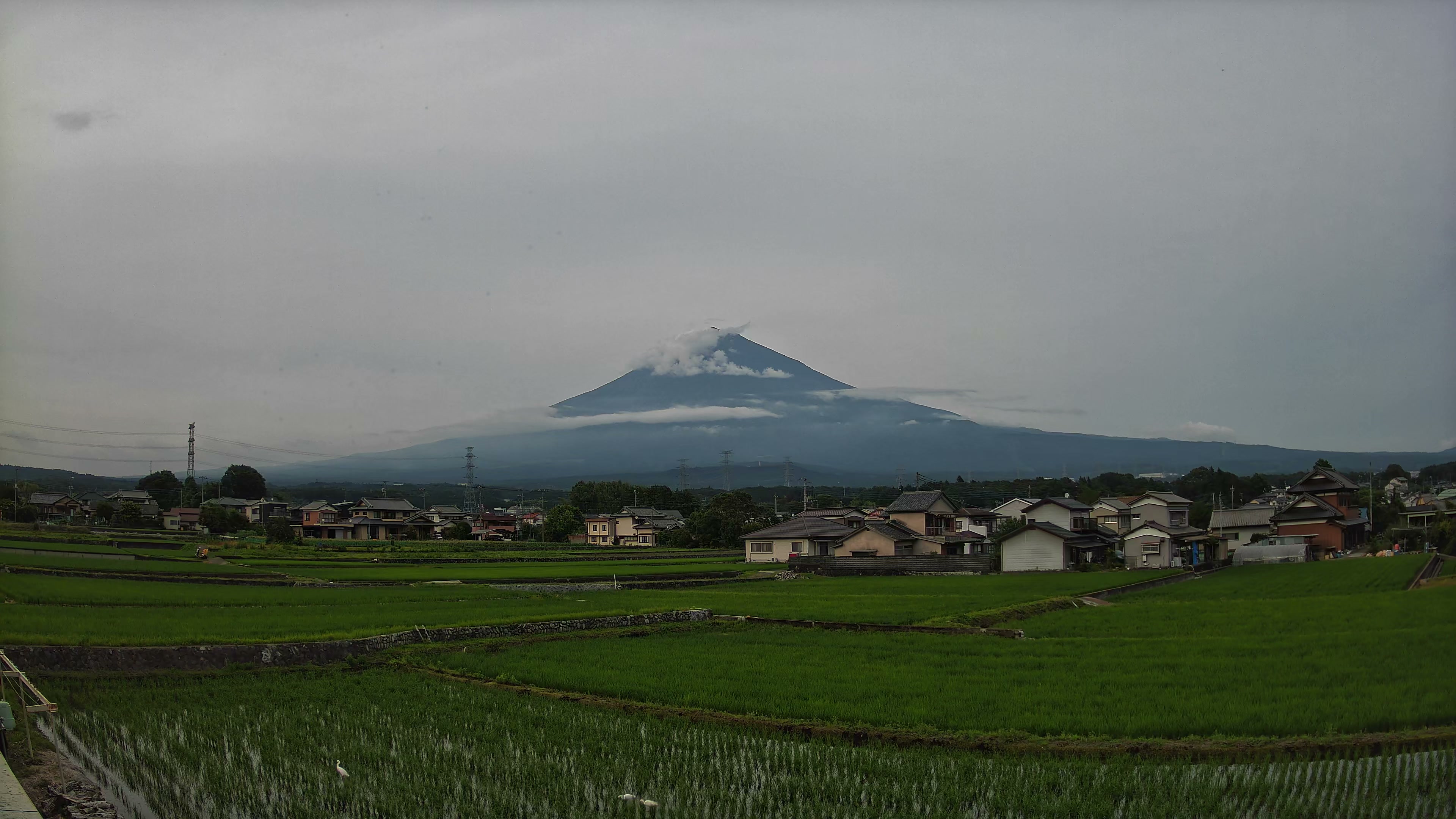 富士山麓だより 夕方 2026年06月16日